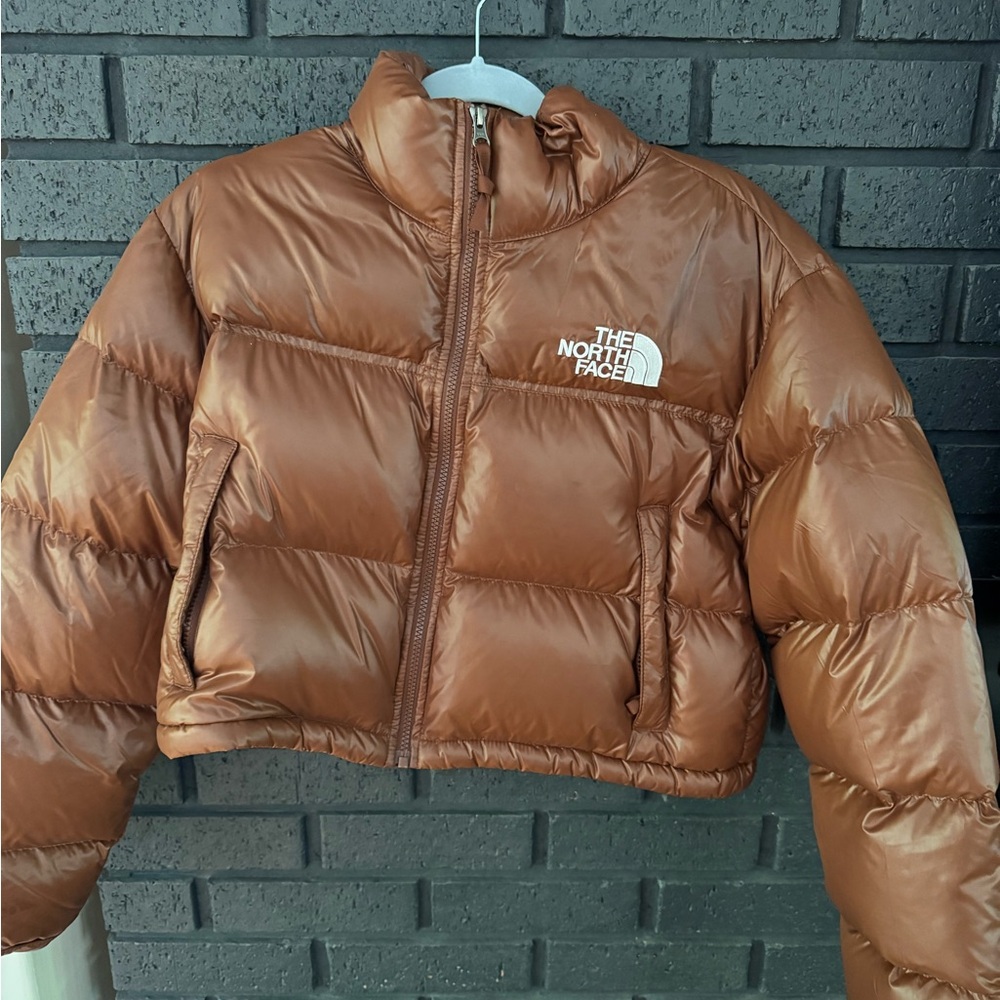 The North Face Chocolate Brown Jacket